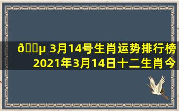 🌵 3月14号生肖运势排行榜（2021年3月14日十二生肖今日运势）